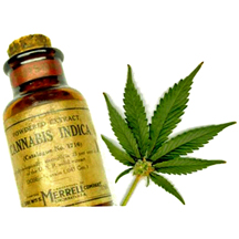early 1900s commercial vial of powdered extract of cannabis