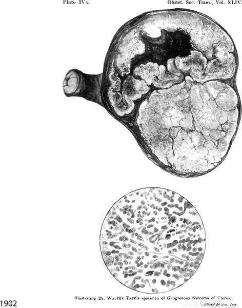 1902