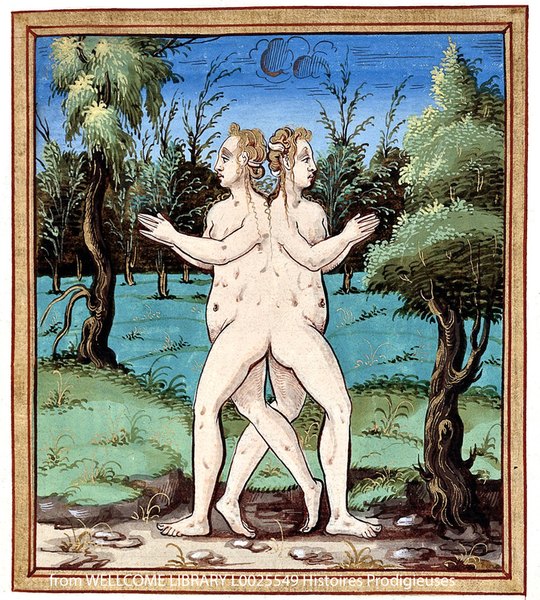 Teratology