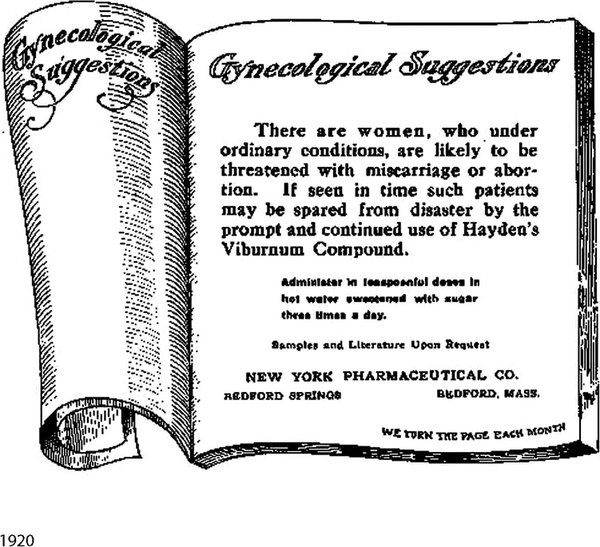 1920 - VIBERNUM