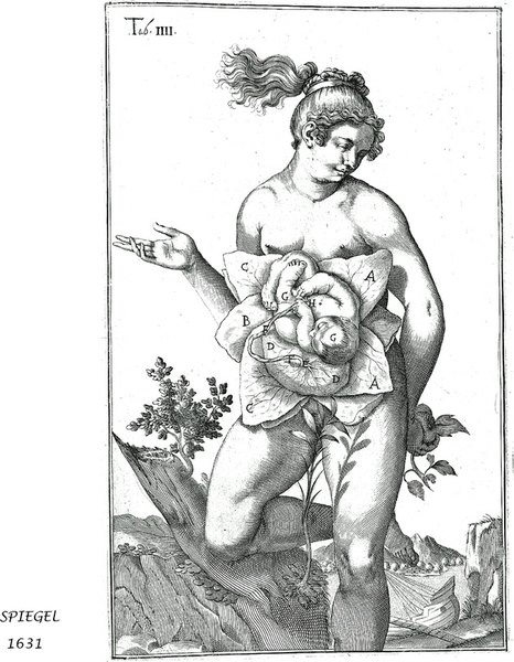 1631-SPIEGEL